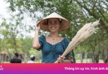 Rợp khách đến Ninh Bình ngắm Tam Cốc mùa vàng