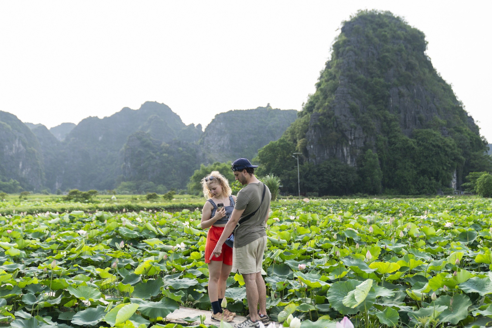 Ninh Binh mua vang anh 18