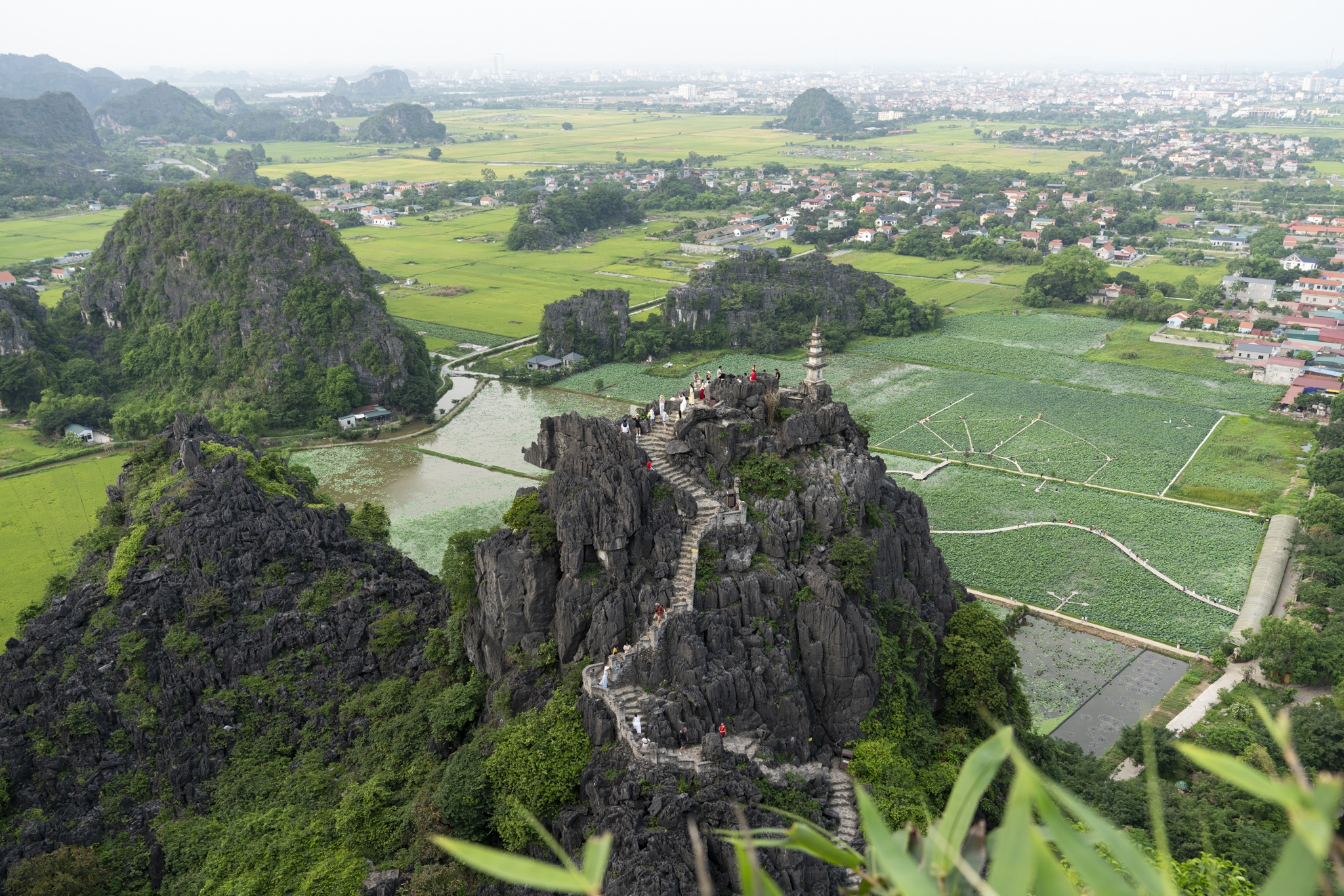 Ninh Binh mua vang anh 13