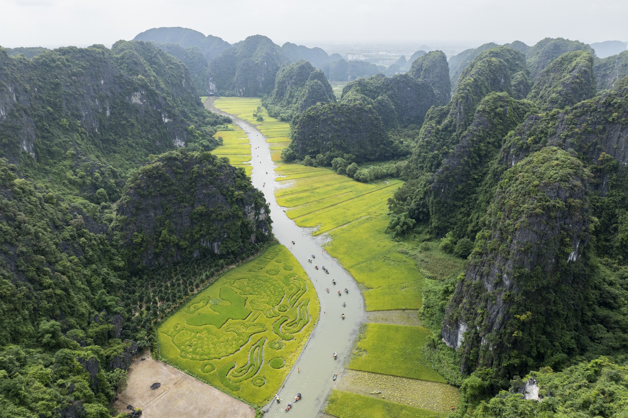 Ninh Binh mua vang anh 1