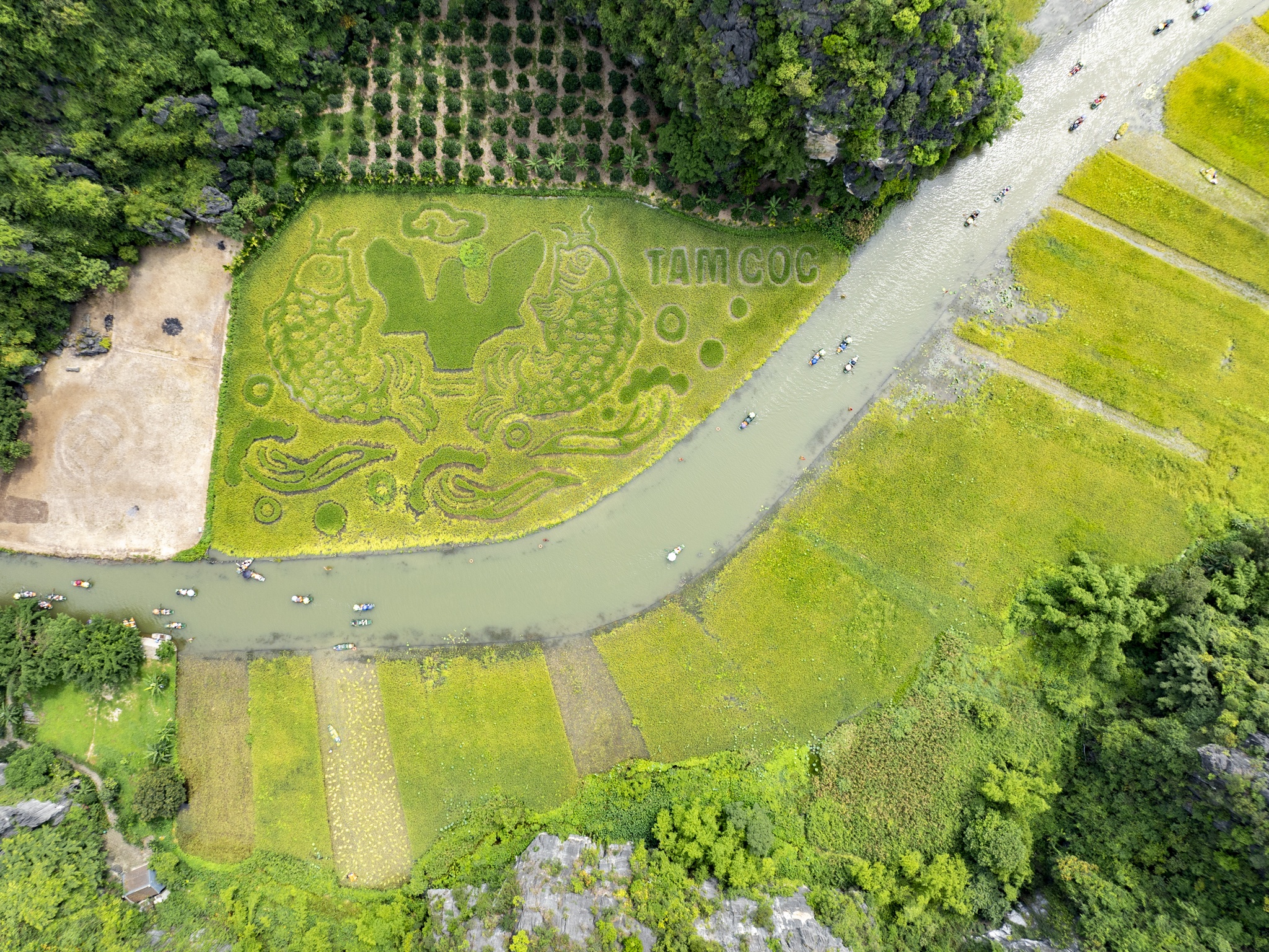 Ninh Binh mua vang anh 2