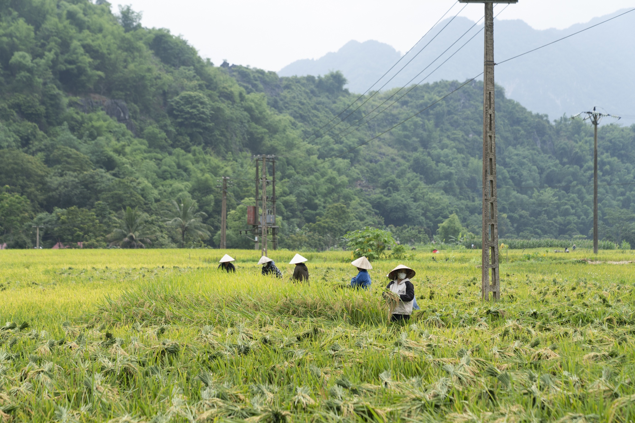 Pu Luong Thanh Hoa anh 6