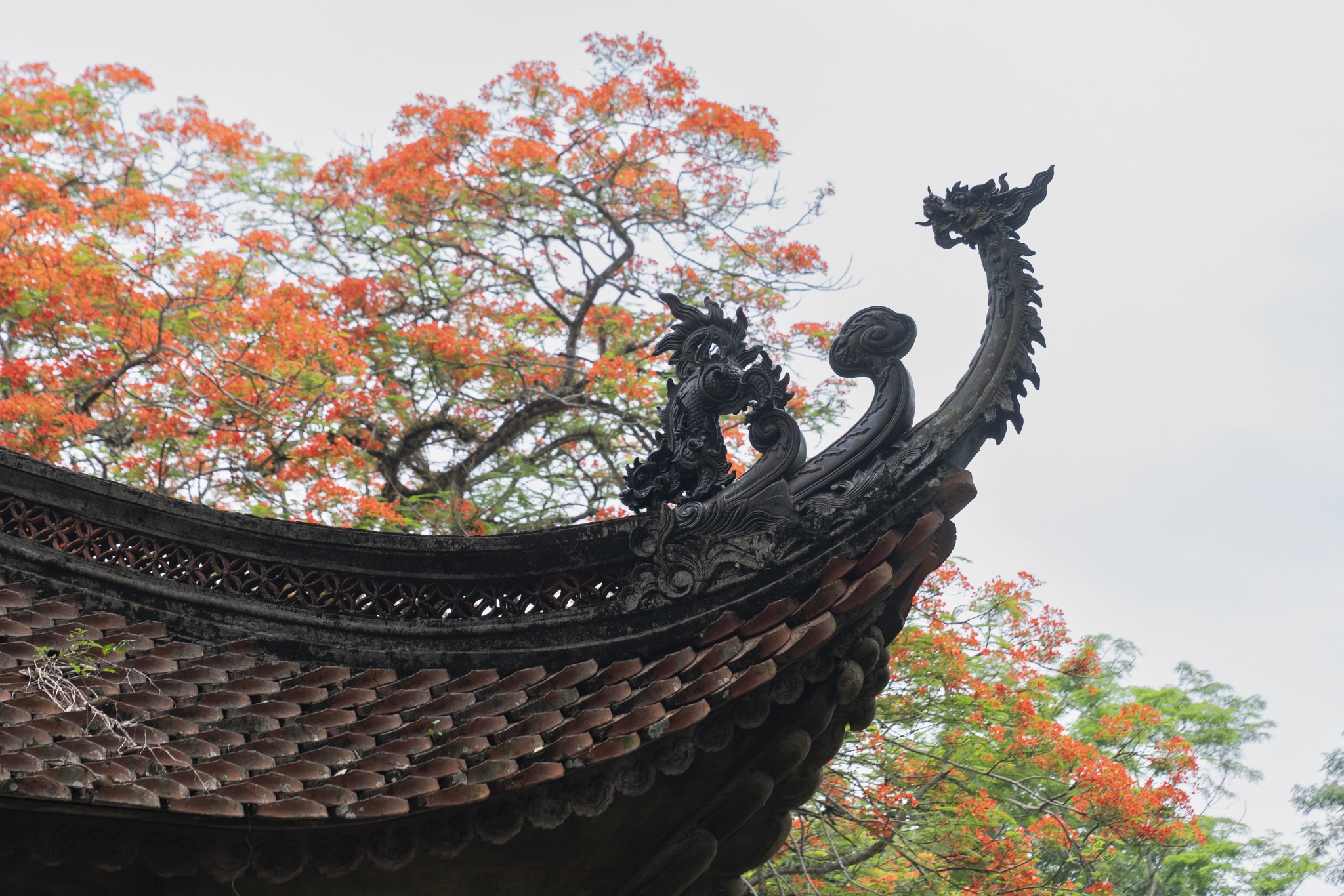 Pu Luong Thanh Hoa anh 21