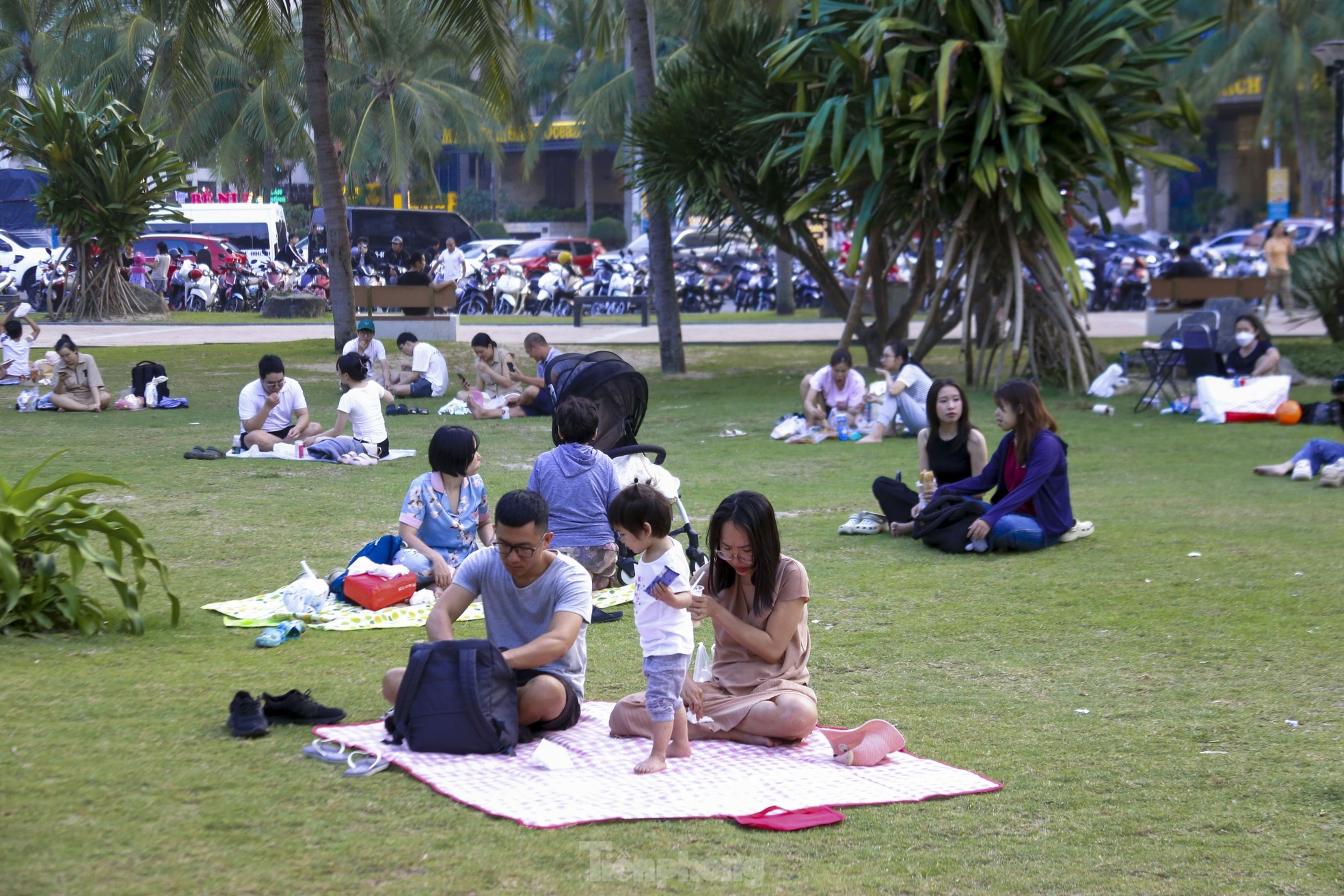 tam bien Da Nang anh 18