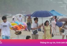 Dành dụm cả năm đi du lịch Đà Nẵng thì dính bão