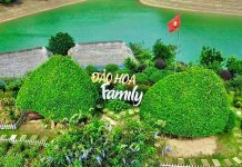 Vợ chồng biến đảo hoang ở Thái Nguyên thành khu vườn chữa lành thu hút du khách