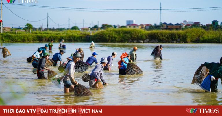 Hàng trăm người dân Quảng Bình lội bùn bắt cá dịp Tết Đoan Ngọ Hàng trăm người dân Quảng Bình lội bùn bắt cá dịp Tết Đoan Ngọ
