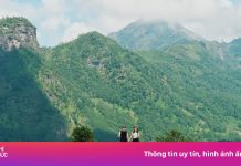 Mùa hè 20 độ C ở cao nguyên Y Tý