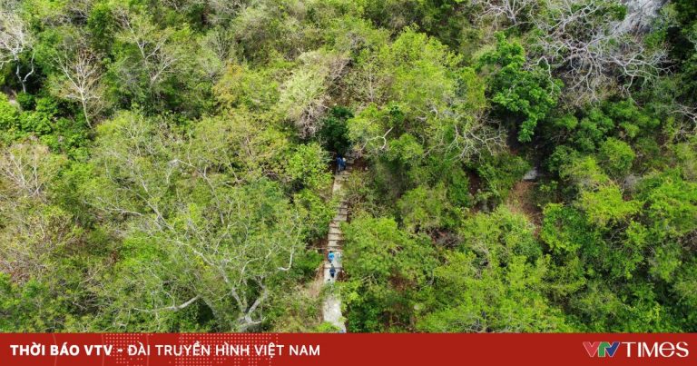 Khánh Hòa – Ninh Thuận tăng tốc kết nối du lịch: Sẵn sàng cho một điểm đến liên vùng hấp dẫn sau sát nhập Khánh Hòa – Ninh Thuận tăng tốc kết nối du lịch: Sẵn sàng cho một điểm đến liên vùng hấp dẫn sau sát nhập