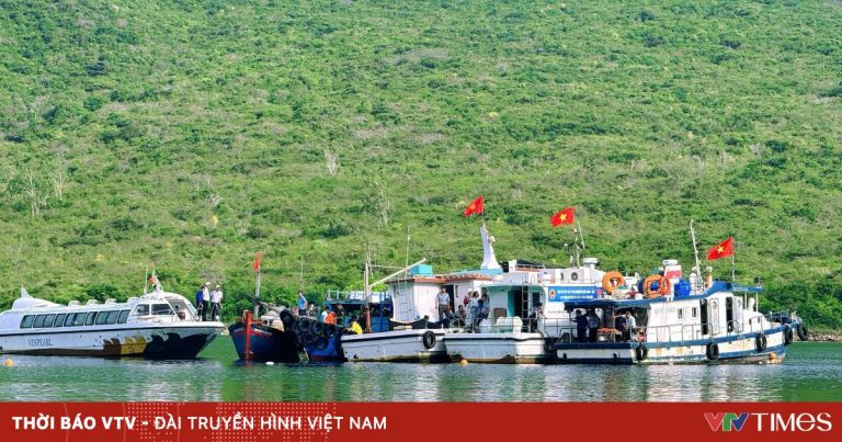 Tái tạo nguồn lợi, phục hồi rạn san hô vịnh Nha Trang – Hướng tới xây dựng cộng đồng biển xanh Tái tạo nguồn lợi, phục hồi rạn san hô vịnh Nha Trang – Hướng tới xây dựng cộng đồng biển xanh