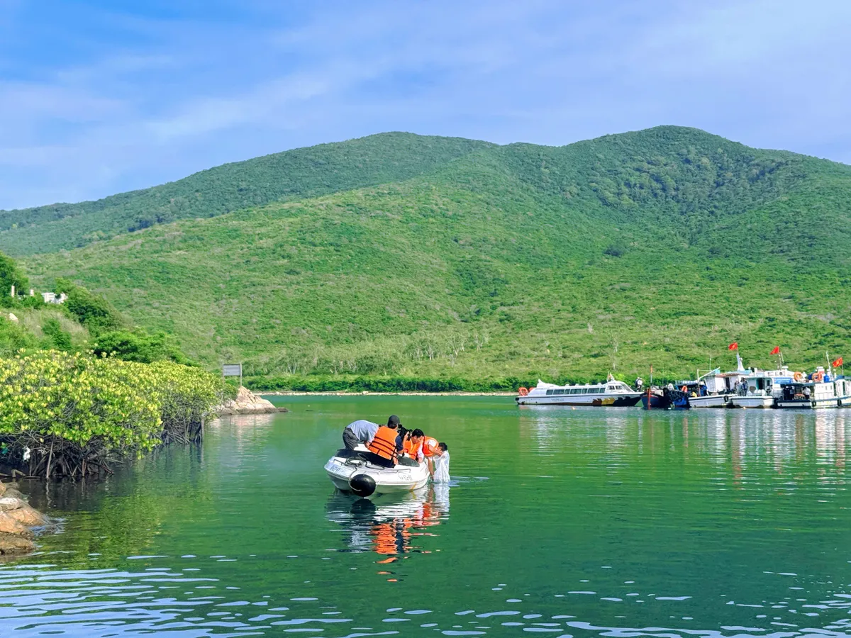 Tái tạo nguồn lợi, phục hồi rạn san hô vịnh Nha Trang - Hướng tới xây dựng cộng đồng biển xanh - Ảnh 2.