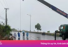 Tạm dừng đón khách đến bán đảo Sơn Trà