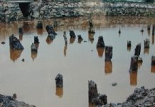 Phát huy giá trị khoa học và văn hóa của di sản bãi cọc Bạch Đằng (Quảng Ninh)