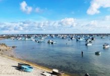 Thong dong ở Phú Quý