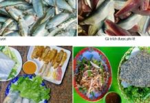 Hương vị cá trích níu khách muôn phương