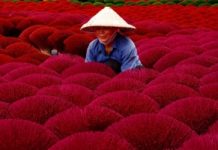 Phát huy giá trị làng nghề truyền thống