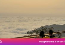 Địa điểm săn mây không thể bỏ lỡ ở Tam Đảo cho team ‘sống ảo’