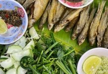 Cá đá sông Côn – Bình Định