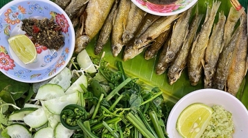 Cá đá sông Côn – Bình Định Cá đá sông Côn – Bình Định