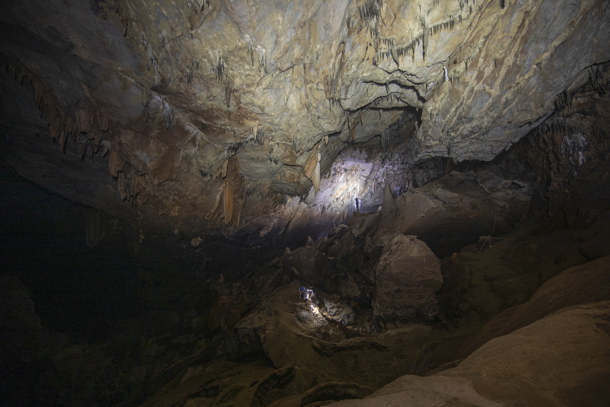 4500 met dong phong nha anh 1