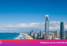 4 trải nghiệm nhất định phải thử nếu chỉ có một ngày ở Brisbane