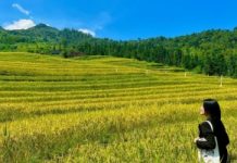 Du Già “nốt nhạc bổng” trên Cao nguyên đá