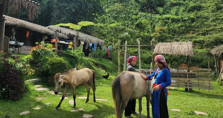 Bản Liền xanh mướt ở Lào Cai gây sốt, nhiều homestay kín lịch đặt phòng Bản Liền xanh mướt ở Lào Cai gây sốt, nhiều homestay kín lịch đặt phòng