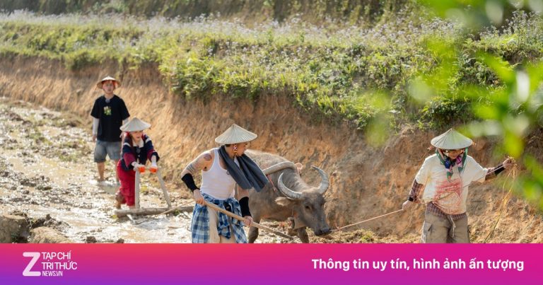 Bản nhỏ Lào Cai đông khách sau chương trình Gia Đình Haha Bản nhỏ Lào Cai đông khách sau chương trình Gia Đình Haha