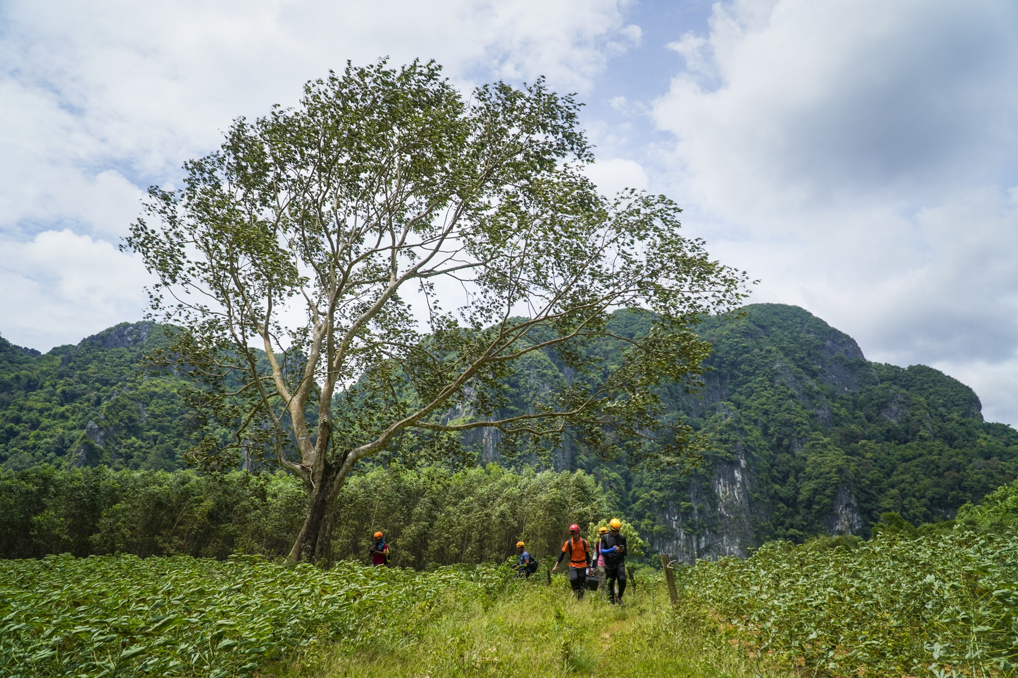 hang cha loi quang tri anh 36