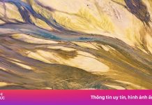 Ảnh ‘mạch đất’ Đồng Nai mùa nước cạn