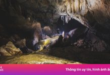 Bên trong 4.500 m lòng động Phong Nha
