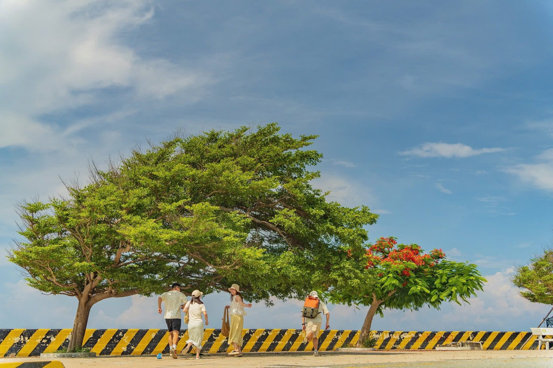 DT702 du lịch ninh thuận.jpg