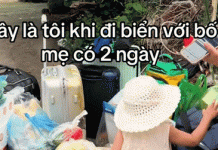 Du lịch Hạ Long 3 ngày, gia đình ở Hà Nội đem cả ‘quán tạp hóa’ đi cùng