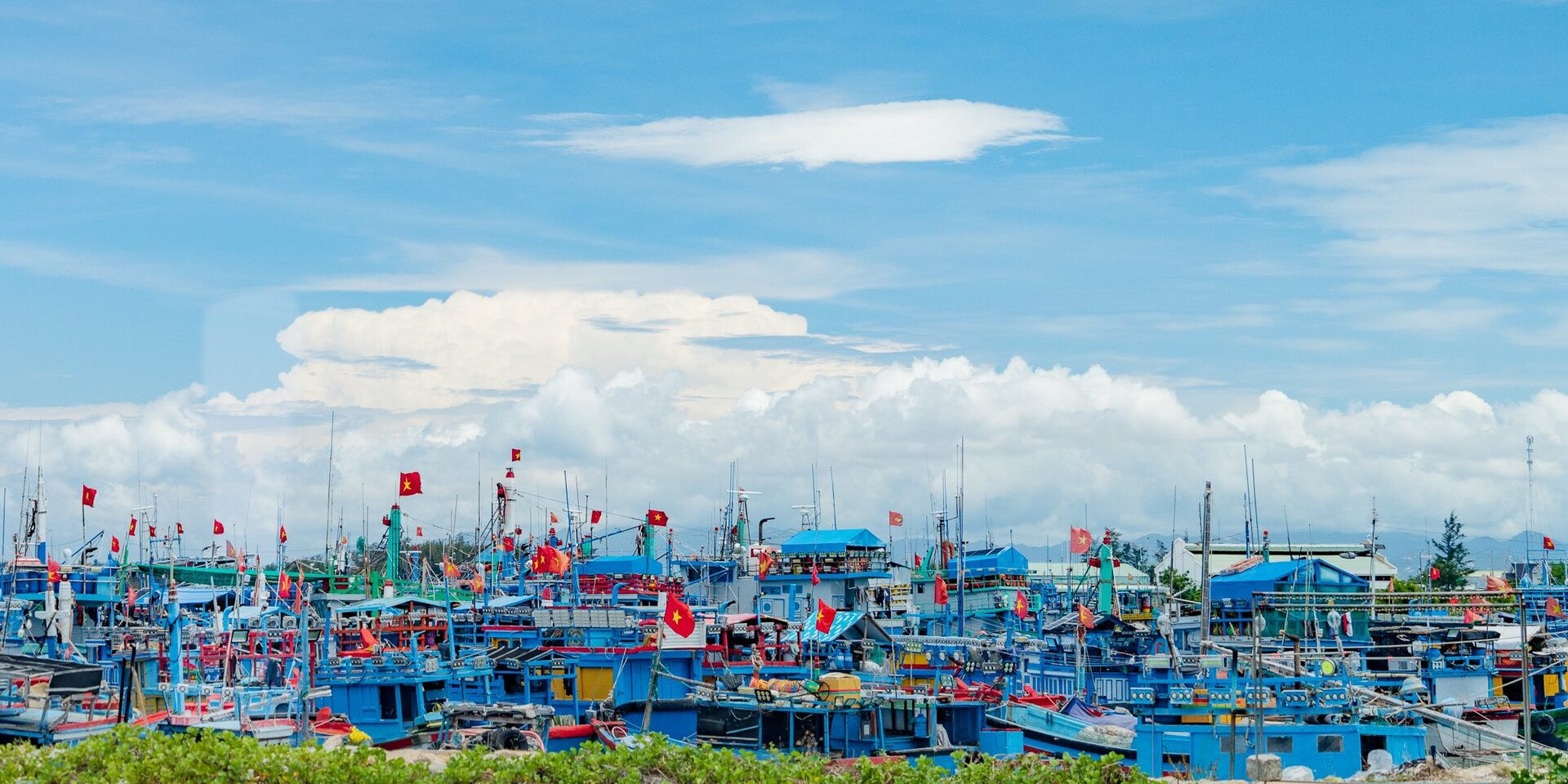 du lịch ninh thuận cảng cá.jpg