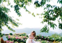 Hai ‘tọa độ’ check-in mới thu hút giới trẻ Đà Lạt