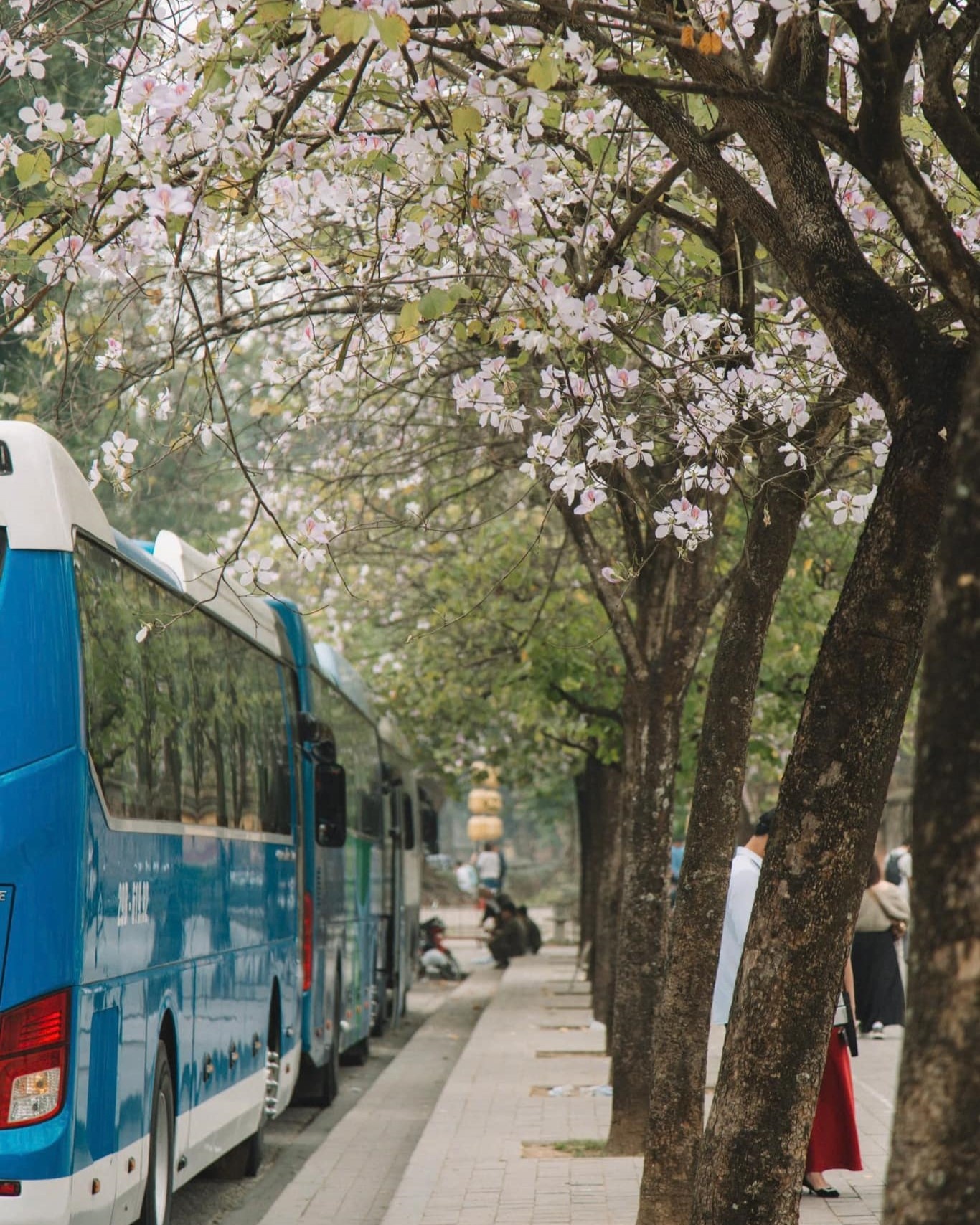 du lich Ha Noi anh 13