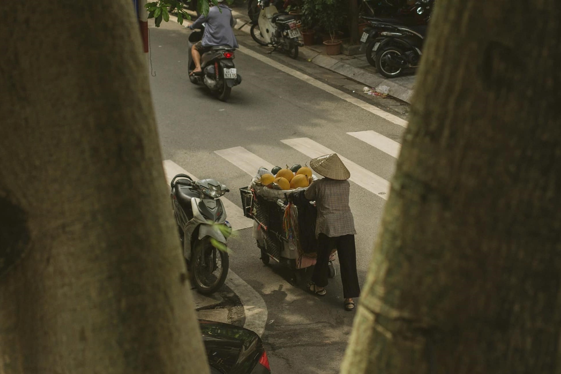 du lich Ha Noi anh 25