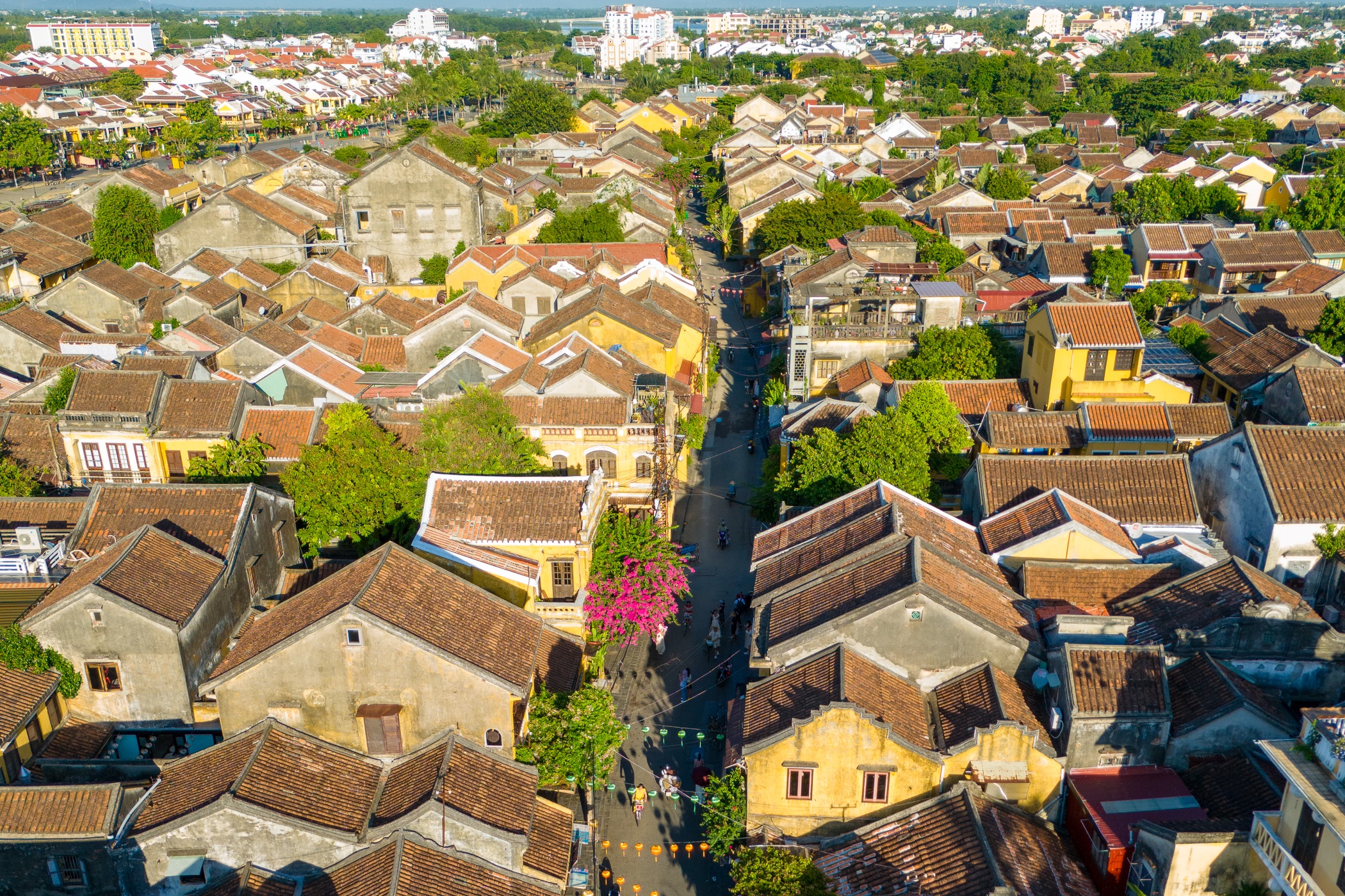 Du lich Da Nang anh 5