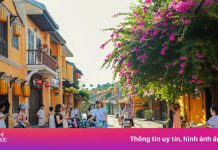 Khách Australia kể 19 lần du lịch Việt Nam