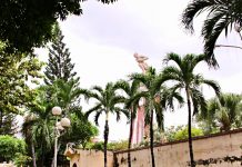 Kho bom lớn nhất Đông Dương gần 80 năm trước, nay là điểm xanh mát giữa TPHCM