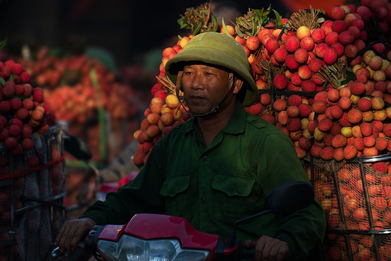 vai thieu anh 14