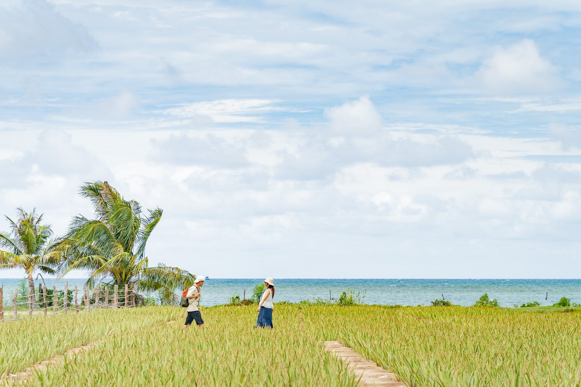nha đam du lịch ninh thuận.jpg