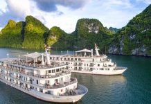 Nhân chứng trên du thuyền 5 sao Hạ Long kể việc khách Đài Loan tử vong