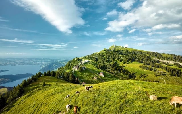 Chiêm ngưỡng toàn cảnh vẻ đẹp núi Rigi khi đi tour du lịch Thuỵ Sĩ Chiêm ngưỡng toàn cảnh vẻ đẹp núi Rigi khi đi tour du lịch Thuỵ Sĩ