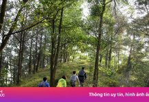 Lại giải cứu du khách mắc kẹt trên núi Hàm Lợn