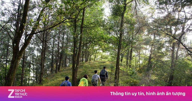 Lại giải cứu du khách mắc kẹt trên núi Hàm Lợn Lại giải cứu du khách mắc kẹt trên núi Hàm Lợn