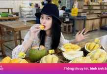 Rộ tour du lịch sầu riêng ở Đông Nam Á