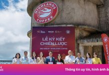SHE Group và Highlands bắt tay, ra mắt 6 cửa hàng café trong năm 2025