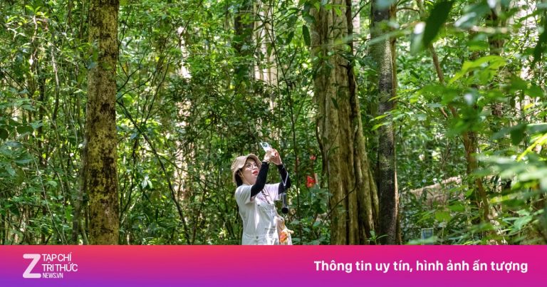 Dân văn phòng tránh nóng hè với tour ‘bỏ phố về rừng’ trong ngày Dân văn phòng tránh nóng hè với tour ‘bỏ phố về rừng’ trong ngày