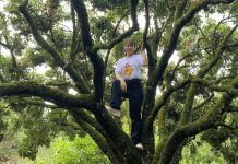 Vườn vải ở Hải Dương được ví như rừng nguyên sinh thu nhỏ, hút khách tham quan